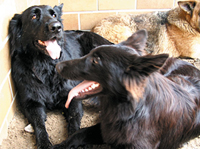 Raja und Bounty